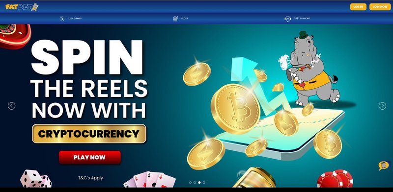Mike’s First Night at Fatbet Casino - overview